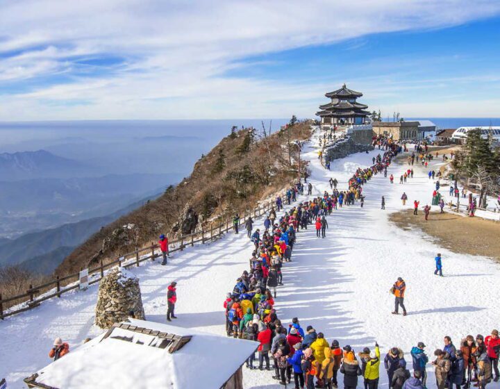 Shimla With Manali Tour Package