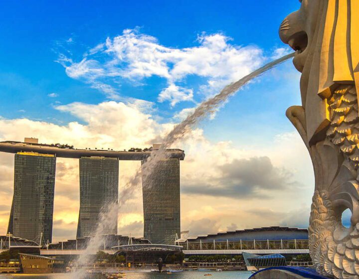 Singapore Delights with Cruise